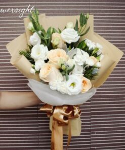 Ngày nắng đẹp BH-018