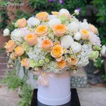 Sự Ái Mộ – GD030