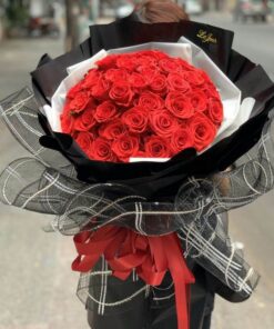 Giấc mơ trưa-hoa nhập