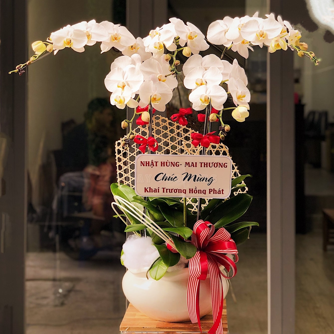 Lan Hồ Điệp Trắng 5 cành - Lan Hồ Điệp Trắng 3 cành - Order theo số lượng hoa