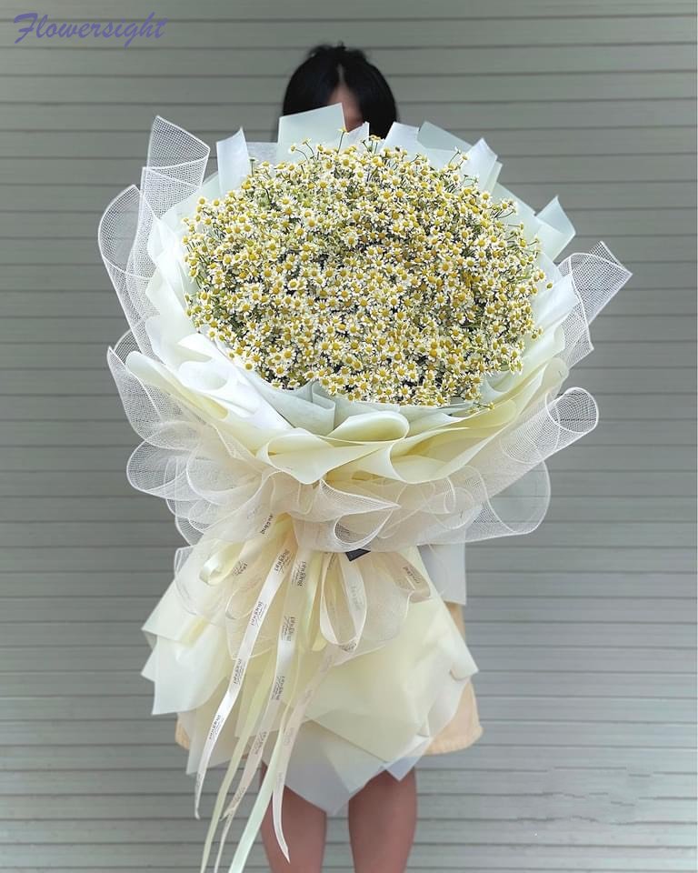 Thiết kế bó hoa cúc tana ấn tượng