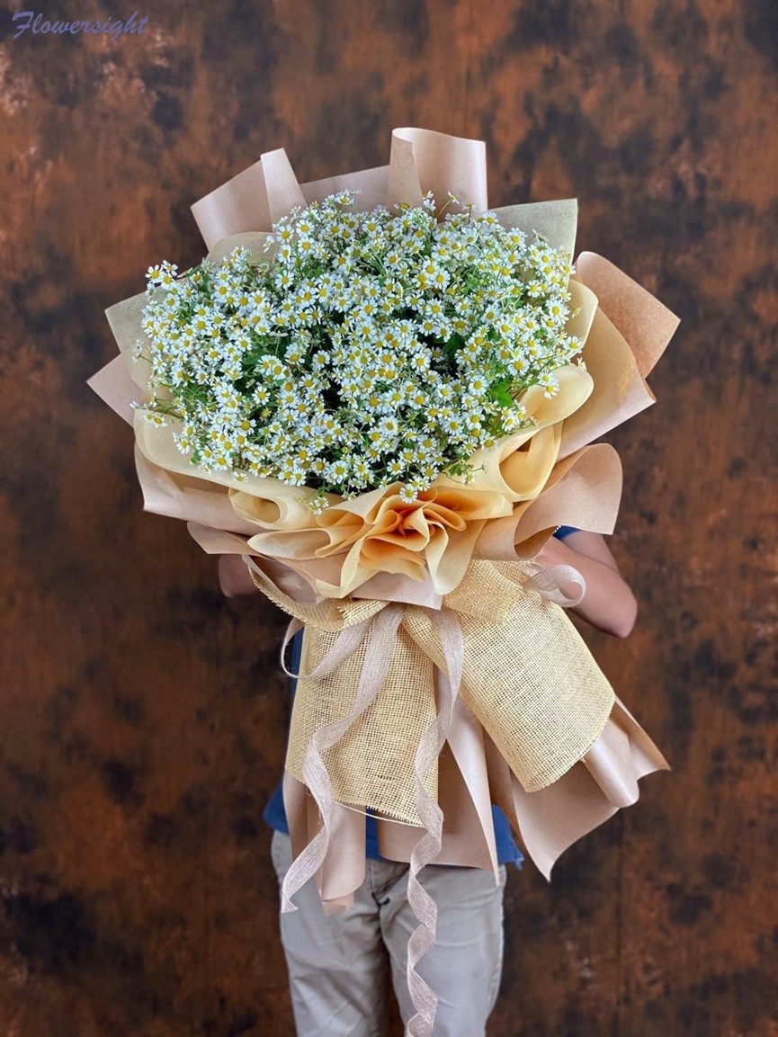 Cúc tana tươi, đẹp và chất lượng