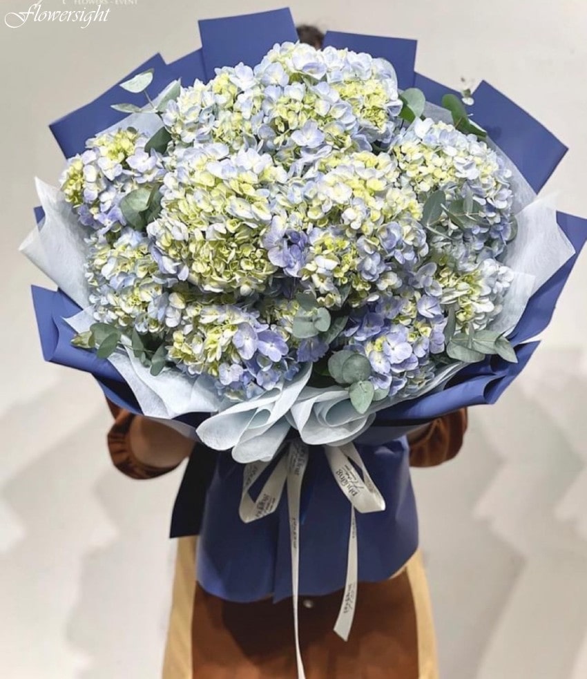 Bó hoa cẩm tú cầu đẹp - hoa chúc mừng sinh nhật ông xã ý nghĩa