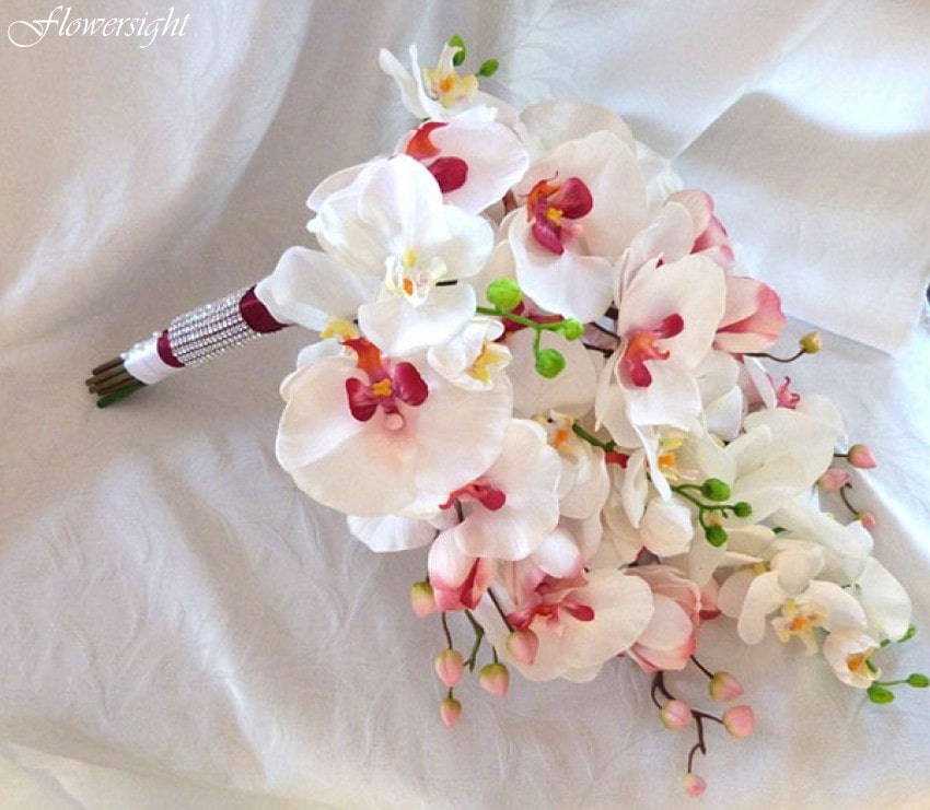 Lan hồ điệp phù hợp làm hoa để bàn cưới, hoa cầm tay cô dâu