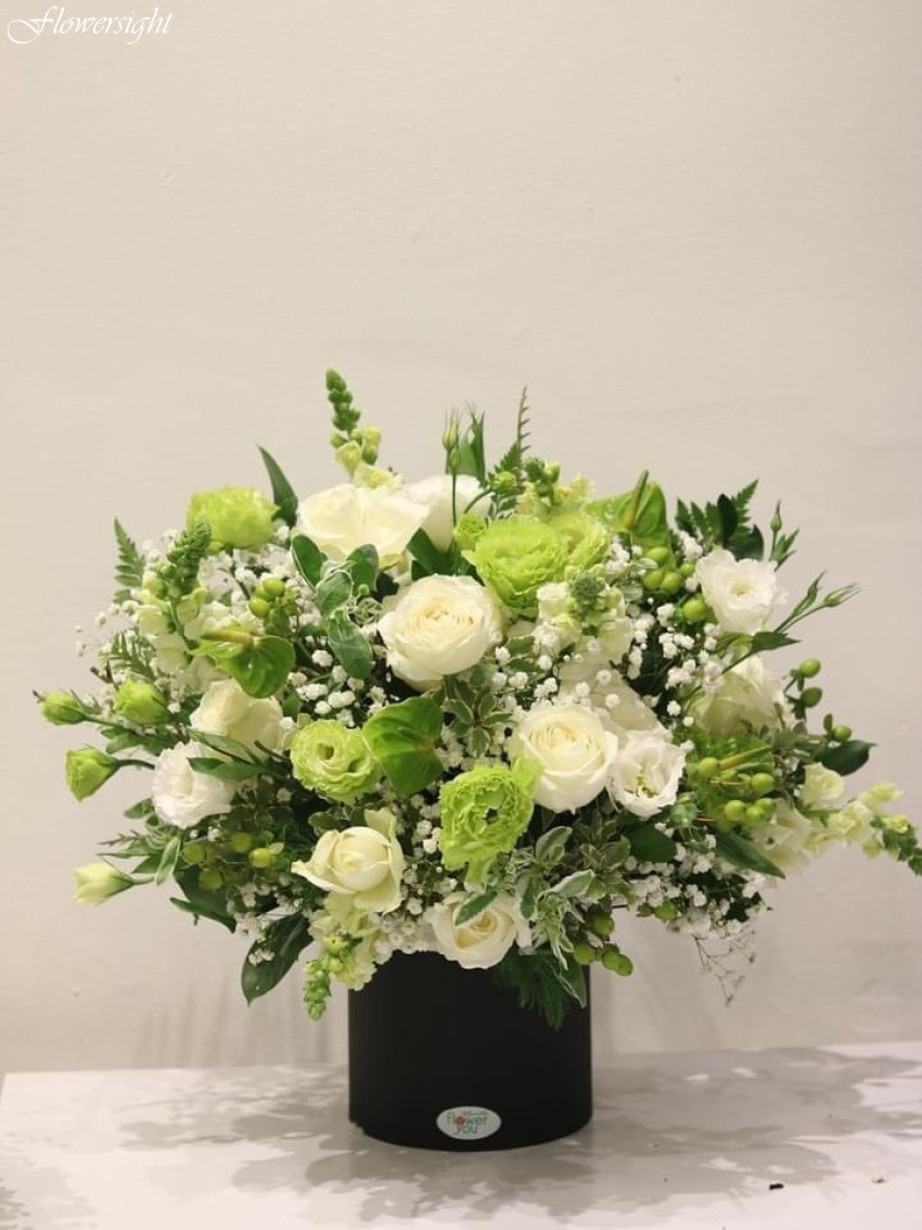 Hoa cát tường tặng sinh nhật bạn trai