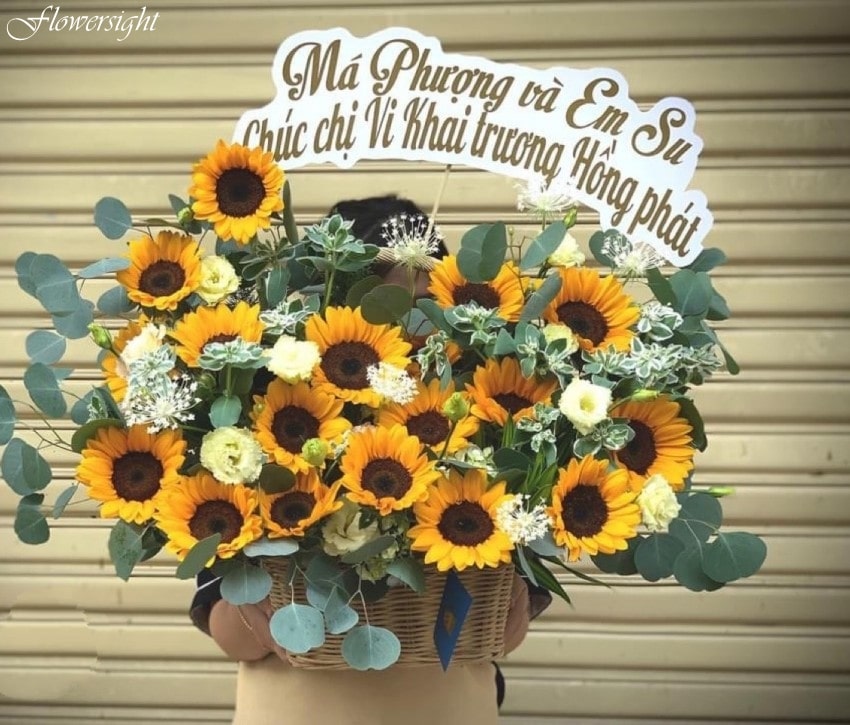 Hoa hướng dương tặng khai trương ý nghĩa