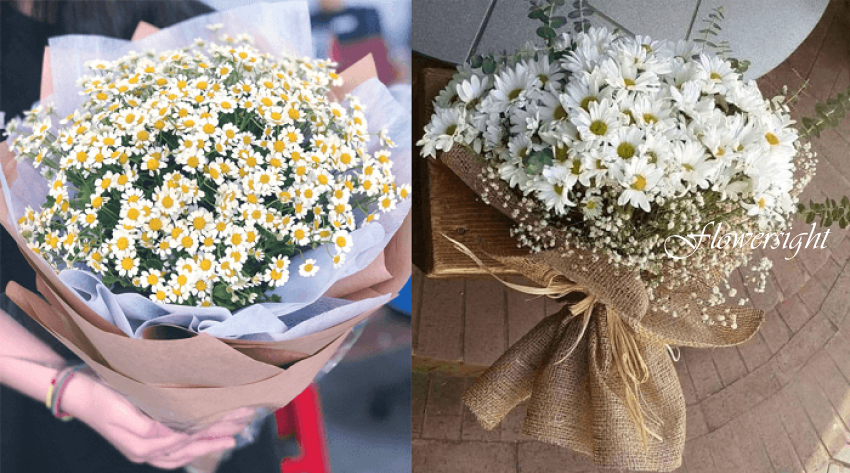 Bó hoa cúc Daisy 
