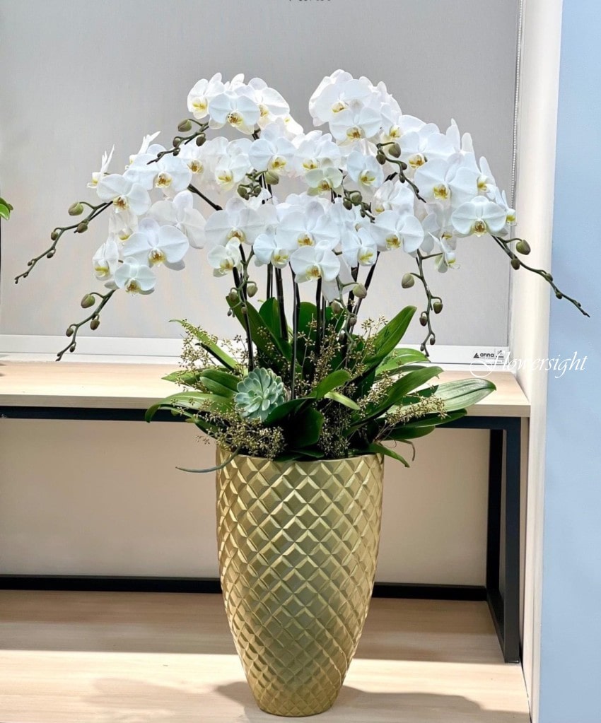 FlowerSight là thương hiệu hoa tươi uy tín suốt hơn 10 năm qua