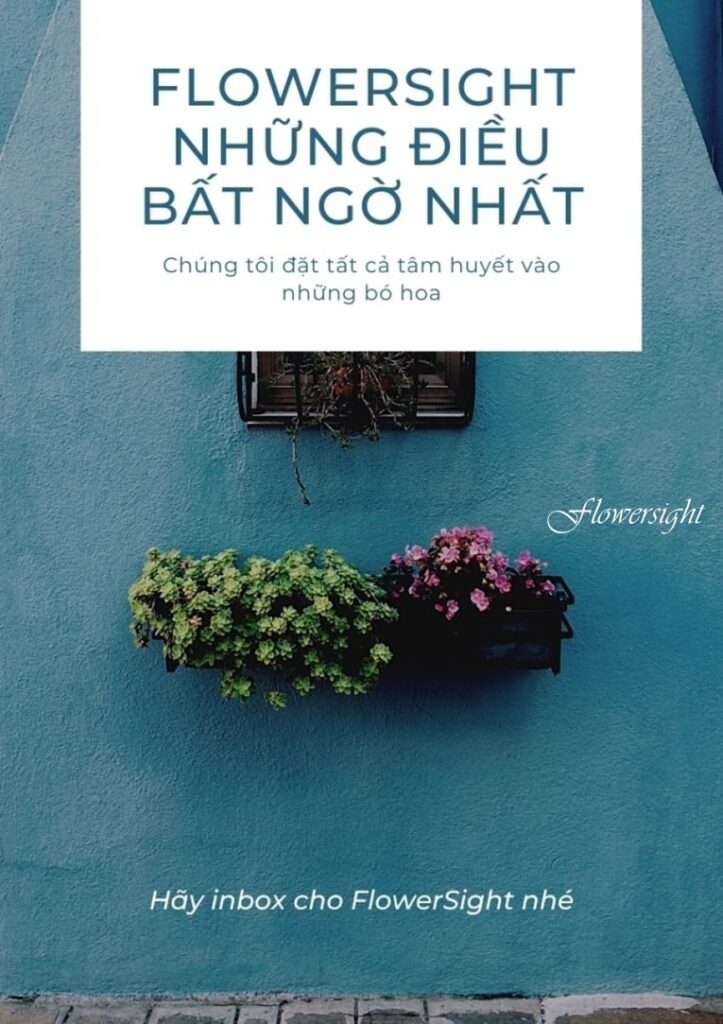Flower Sight - Địa chỉ mua hoa sinh nhật tháng 8 uy tín nhất tại Sài Gòn