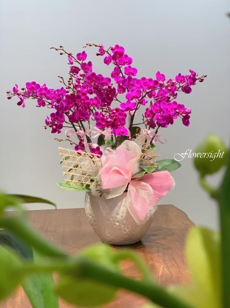 FlowerSight chuyên cung cấp hoa chúc mừng mẹ tròn con vuông