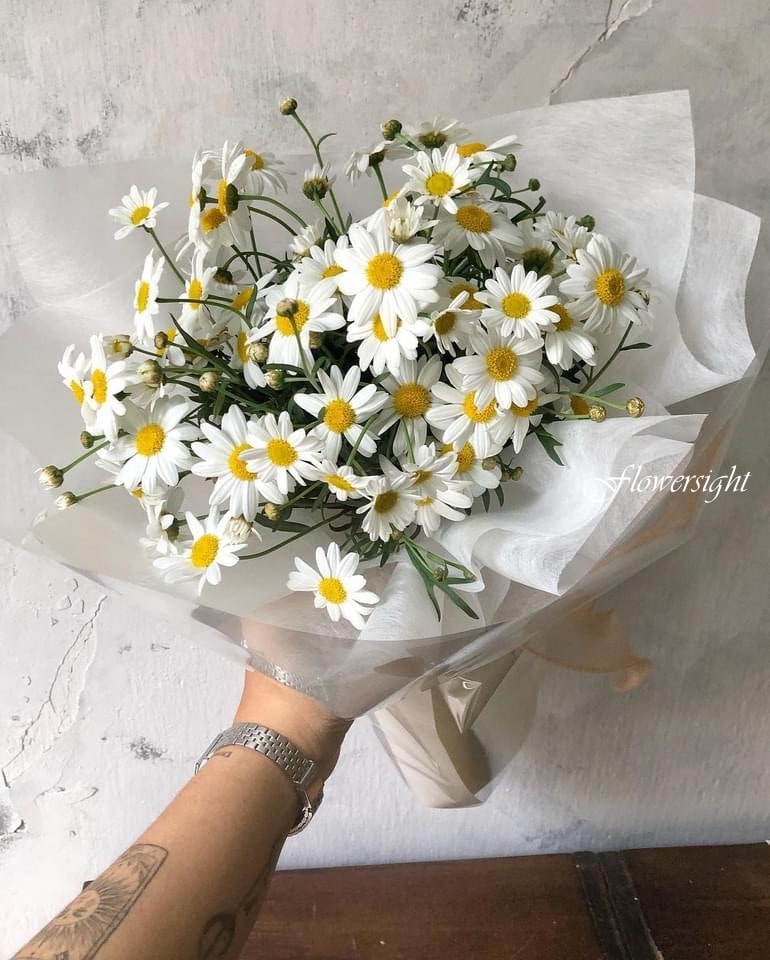 Hoa cúc họa mi - Hoa sinh nhật tháng 4 tượng trưng cho sự thuần khiết và vui vẻ