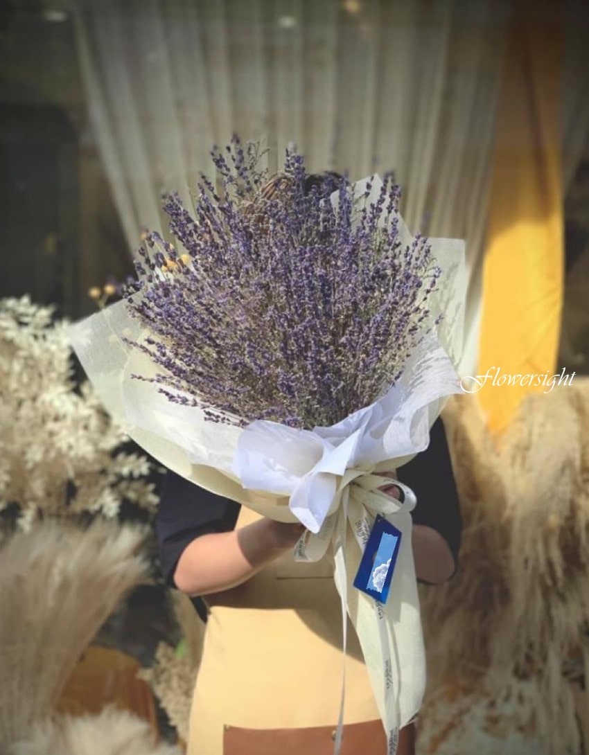 Hoa violet màu tím tượng trưng cho tình yêu