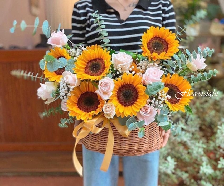 Hoa hướng dương chúc mừng thành công