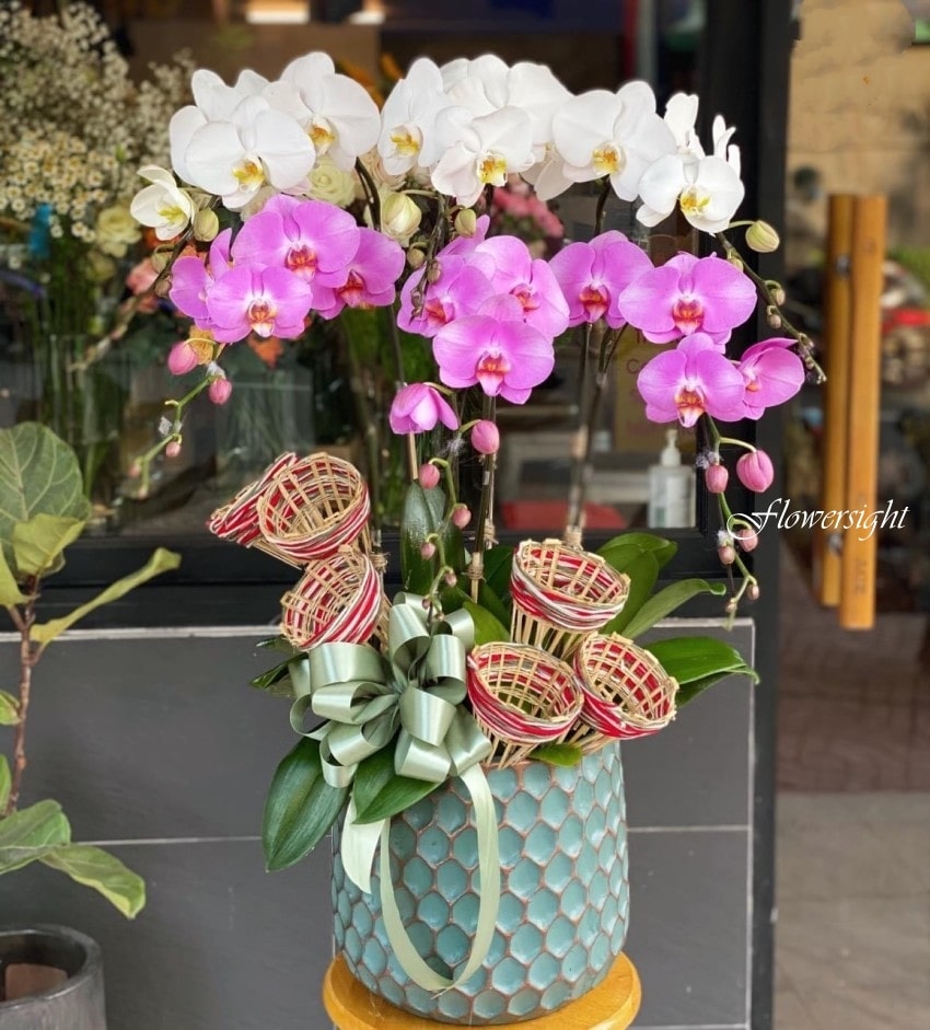 Hoa lan mừng khai trương