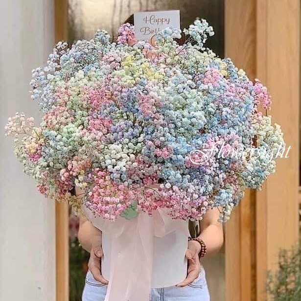 giỏ hoa baby nhiều màu Baby's Breath