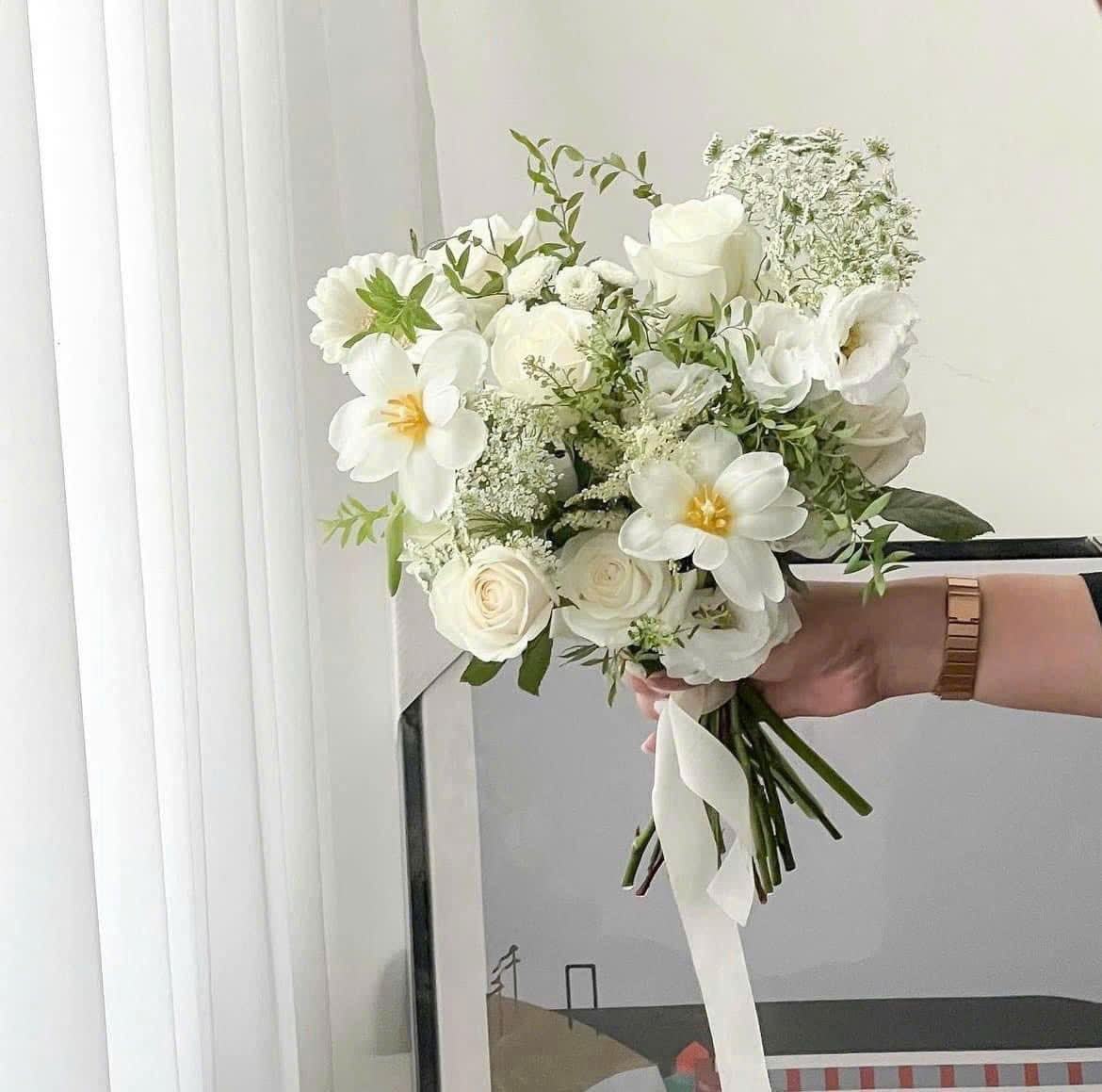 Hoa cưới tulip thanh liễu