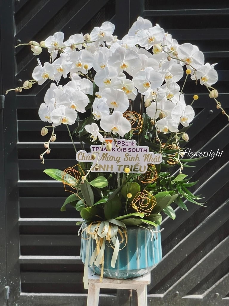 Lan cũng là một lựa chọn dành cho khách hàng ưa chuộng sự bền bỉ