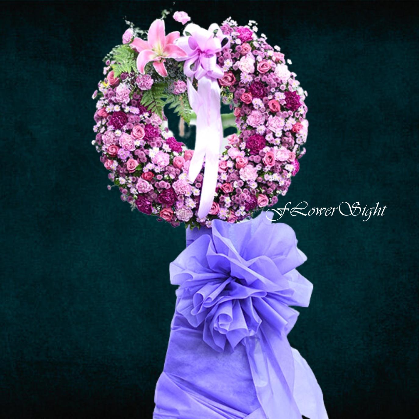 Hoa cúc tím đám tang