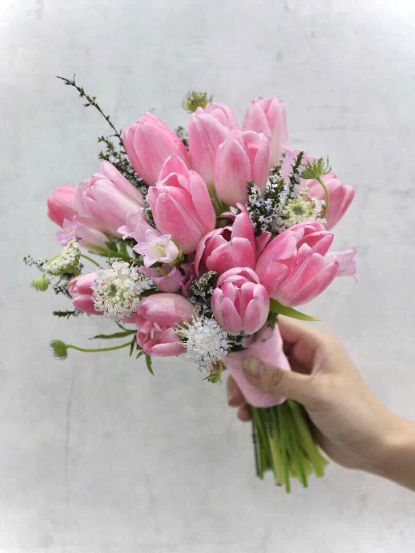 Bó hoa tulip hồng