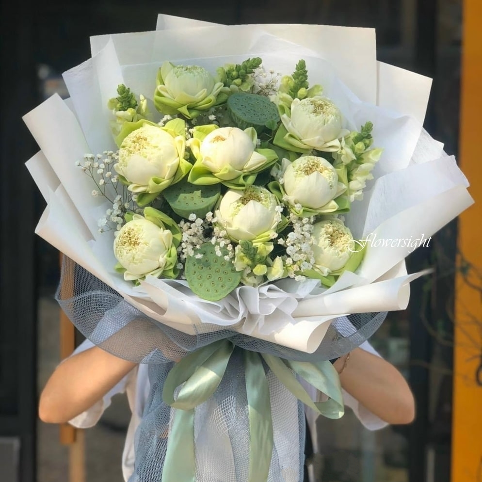 Bó Hoa sen trắng thanh khiết