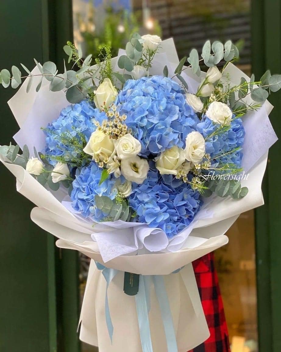 bó hoa tú cầu Ngọt ngào tuyệt vời