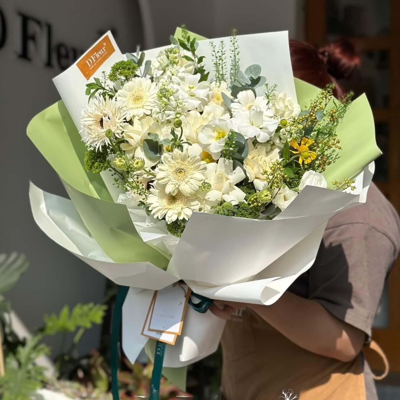 Mẫu hoa đồng tiền trắng xinh xắn