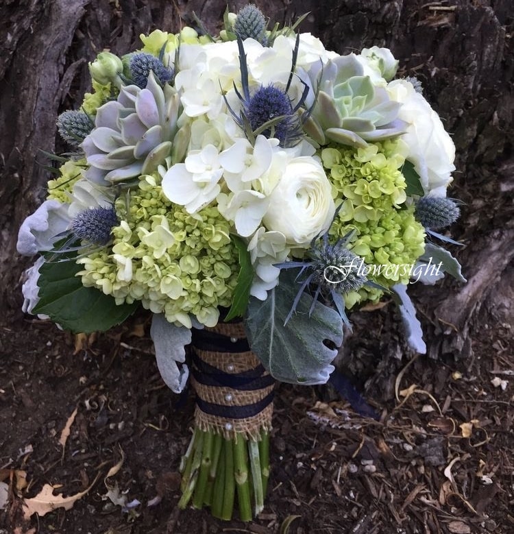 Hoa cẩm tú cầu màu xanh lá