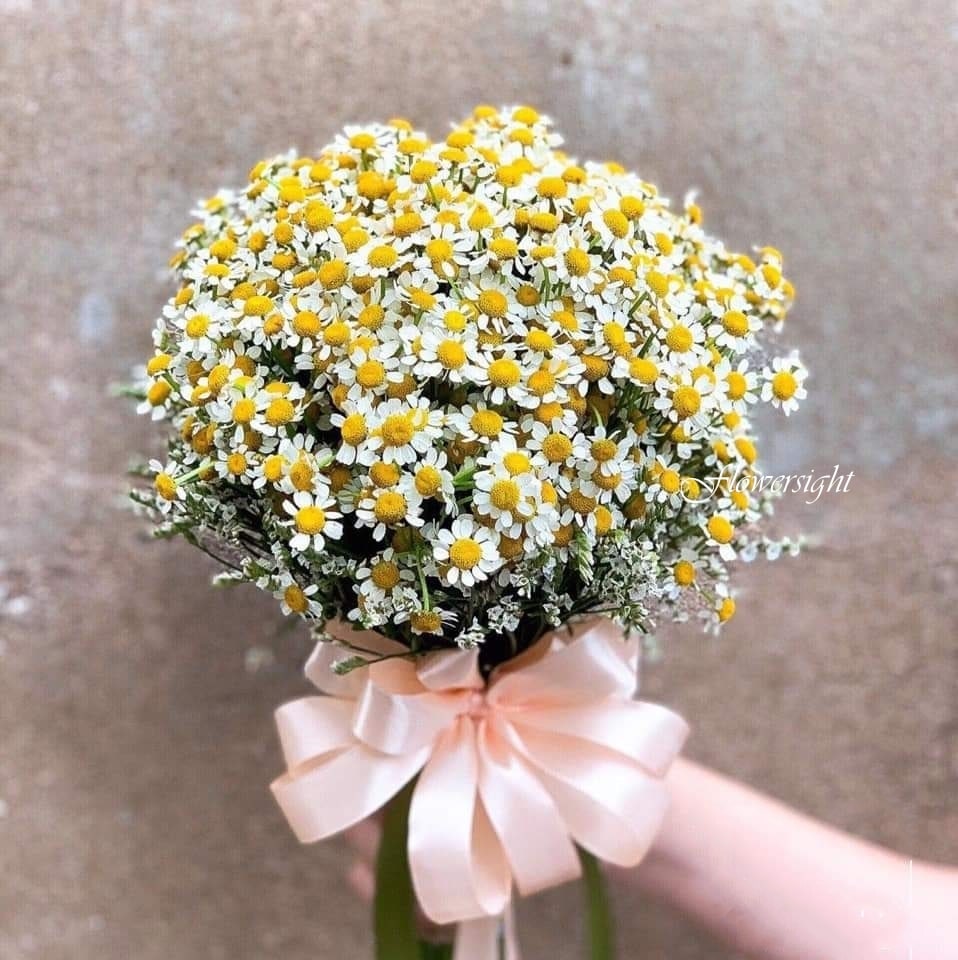 hoa cưới cầm tay whiten