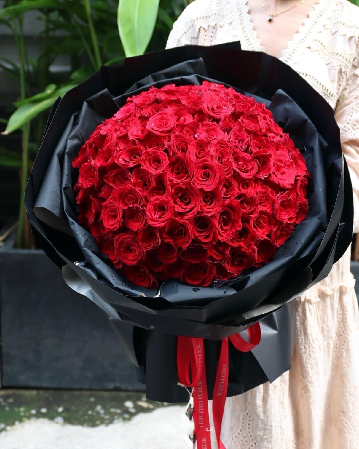 Hoa hồng đỏ ecudor