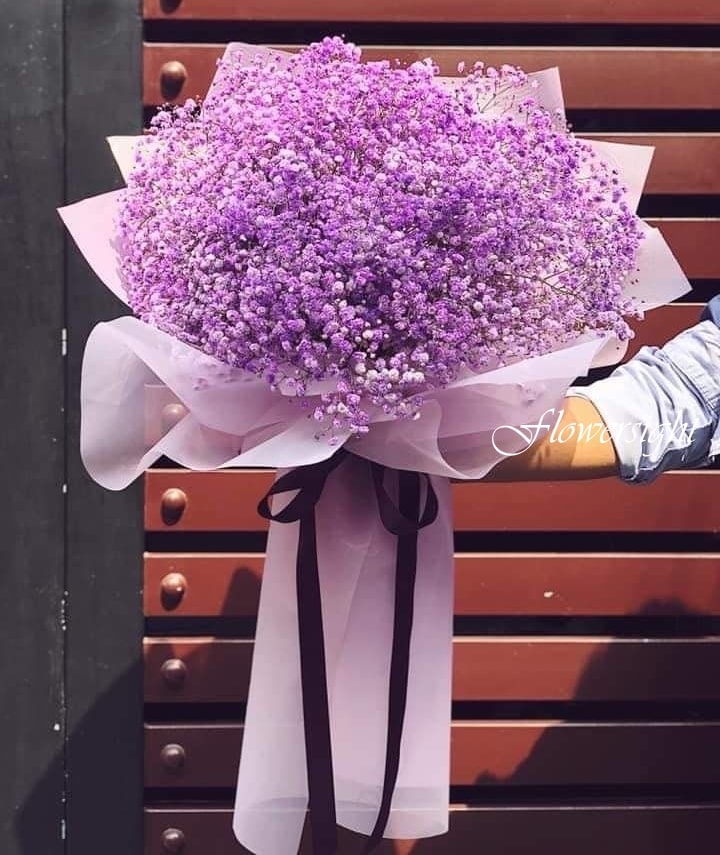 hoa bi tím Rộn ràng