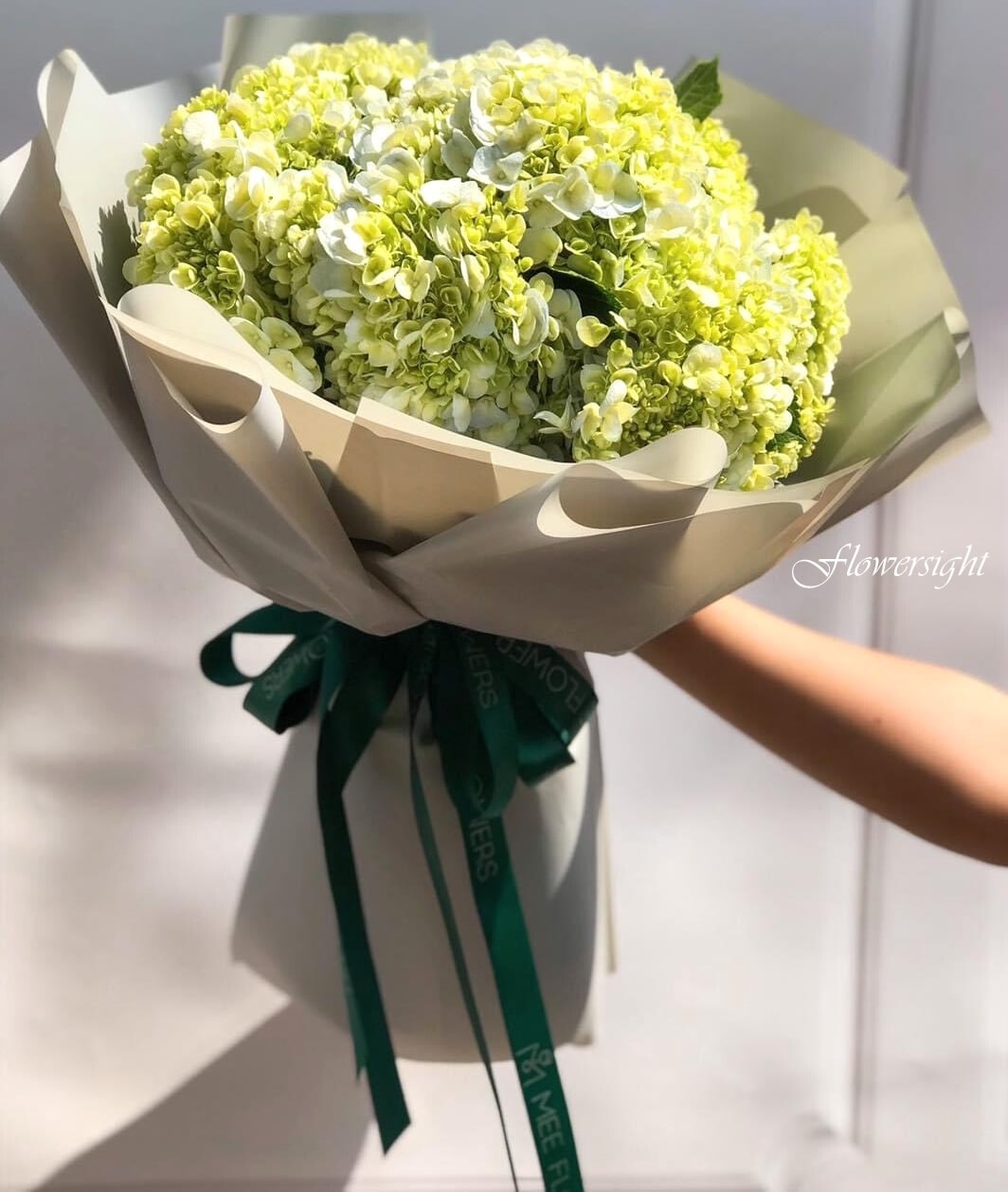 hoa tốt nghiệp tú cầu xanh