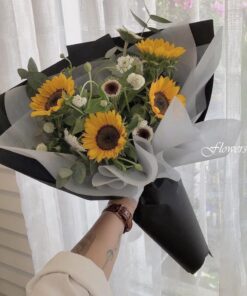 hoa tốt nghiệp giấy gói đen Nguồn sáng