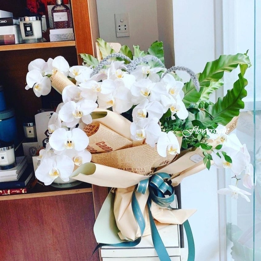 Bó hoa lan trắng tại FlowerSight