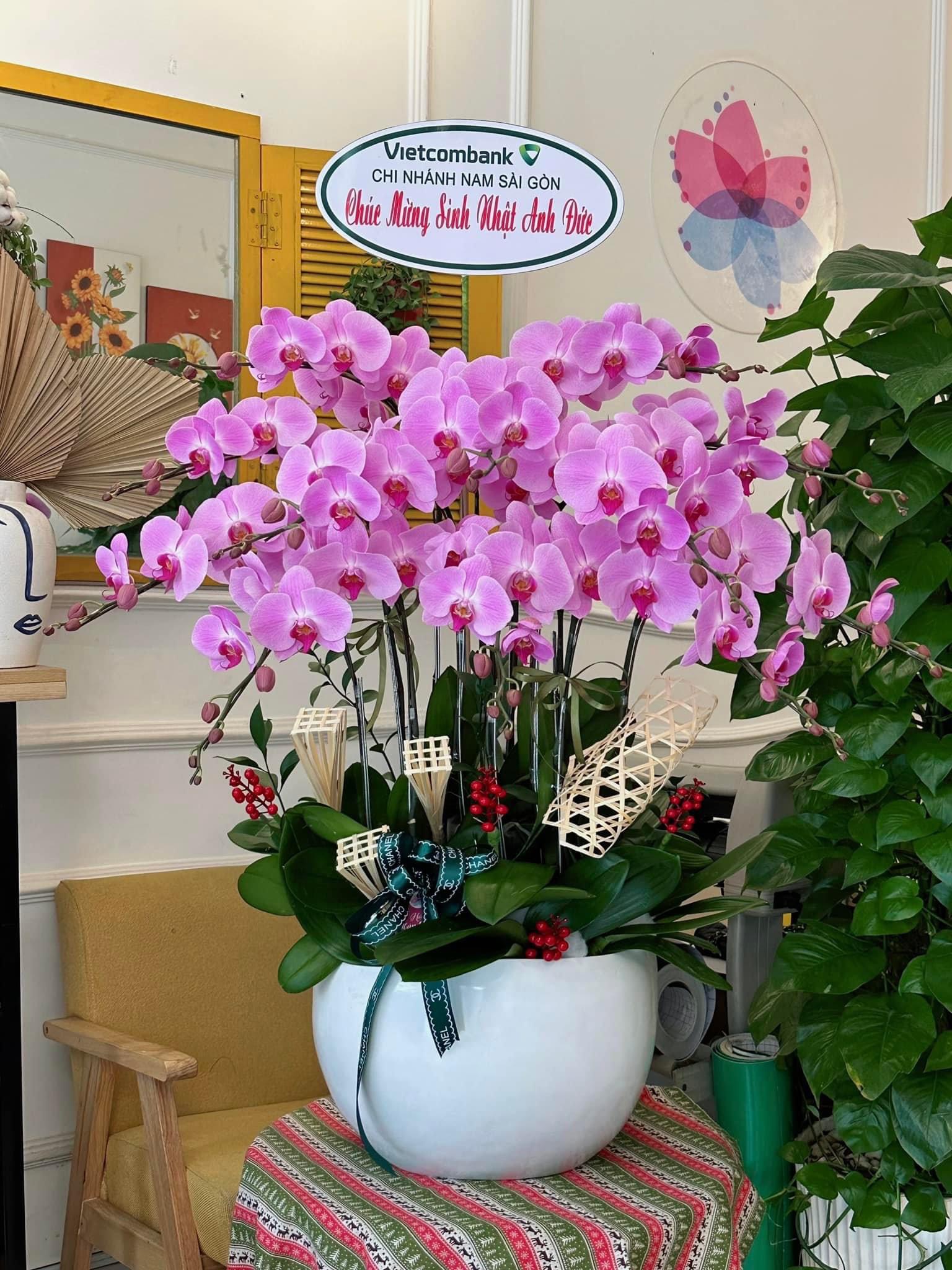 Chậu hoa lan chúc mừng khai trương