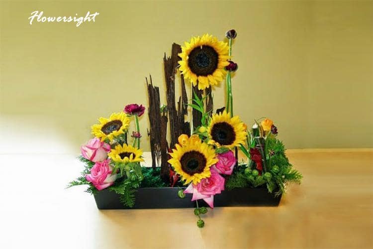 Hoa hướng dương biểu trưng cho sự chung thủy