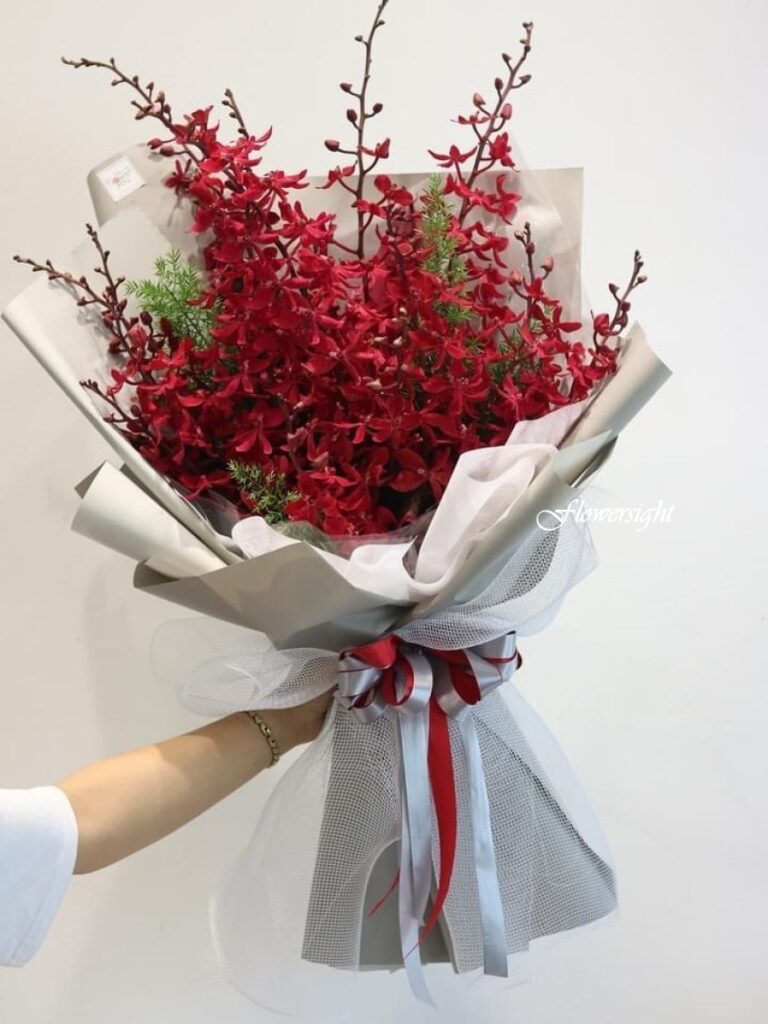 Hoa lan đỏ rất thích hợp dành tặng người thương vào các ngày lễ đặc biệt