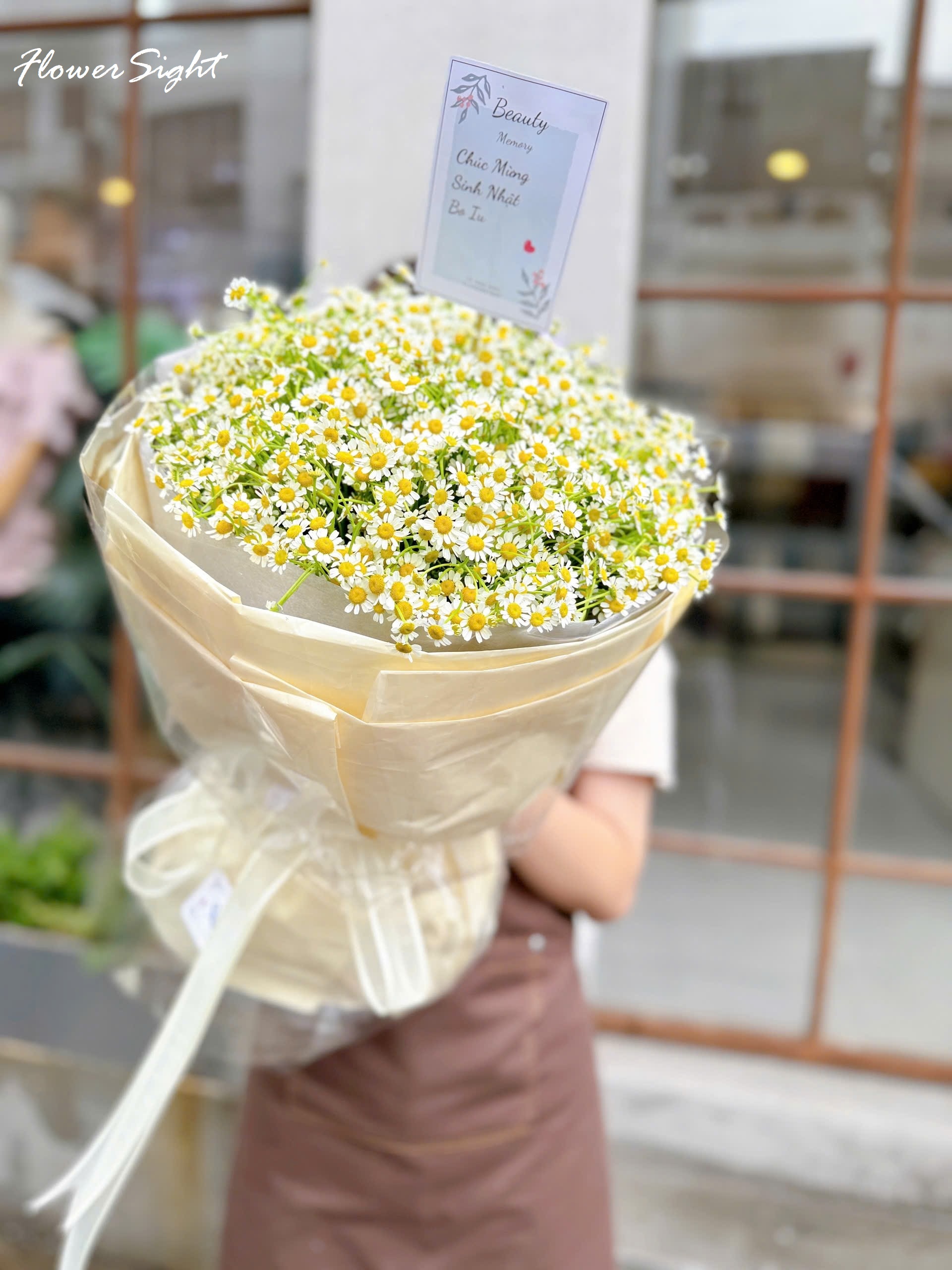 Giá bó hoa cúc tana trên thị trường