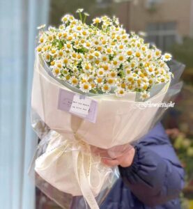 bo-hoa-cuc-tana-tinh-khiet-tang-me-20-10-min