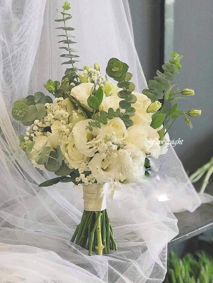 Hoa cát tường trắng thuần khiết thanh lịch.