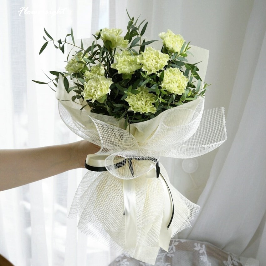 Hoa cẩm chướng xanh thanh lịch