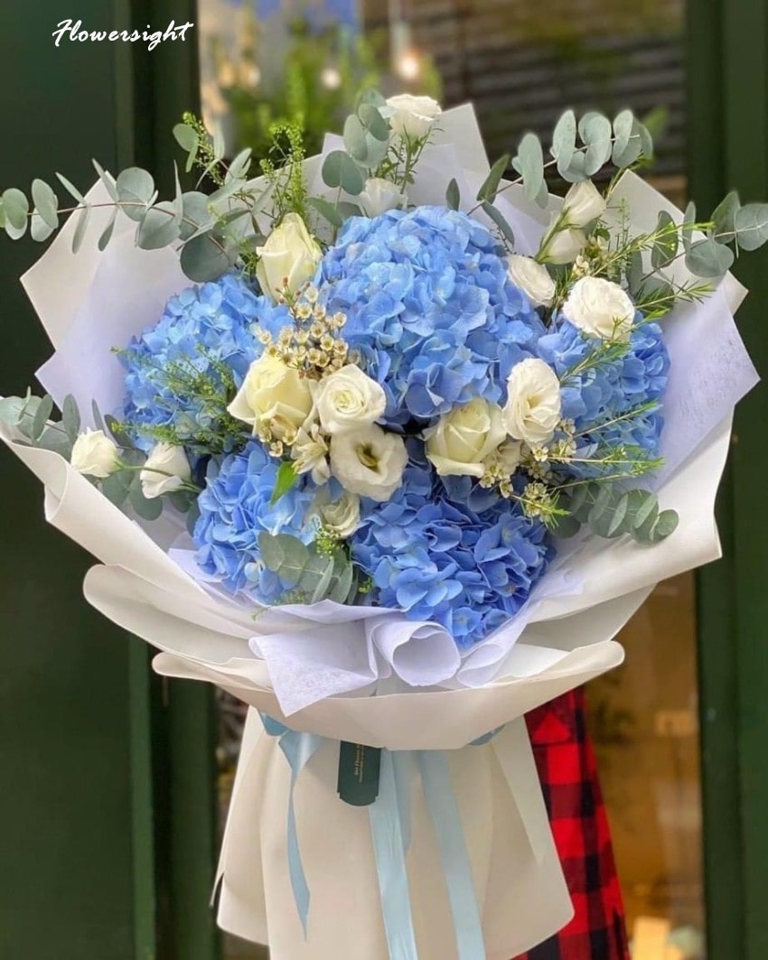 Bó hoa cẩu tú cầu lộng lẫy