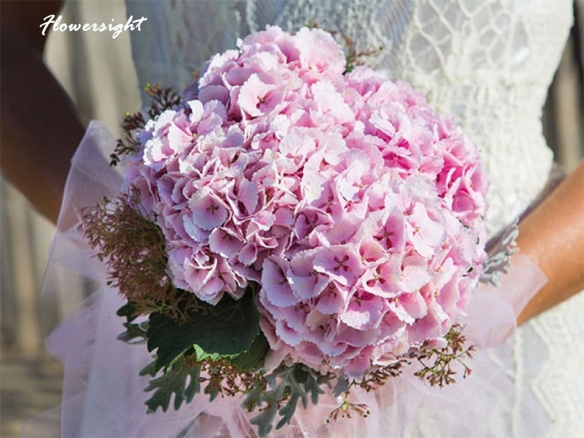 Bó hoa cưới cẩm tú cầu hồng