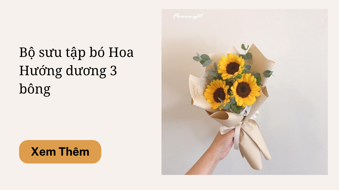 Bó hoa hướng dương 3 bông