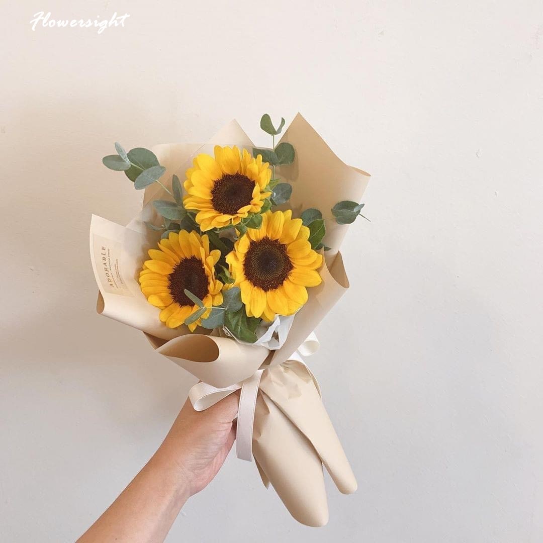 Bó hoa hướng dương 3 bông có rất nhiều ý nghĩa khác nhau