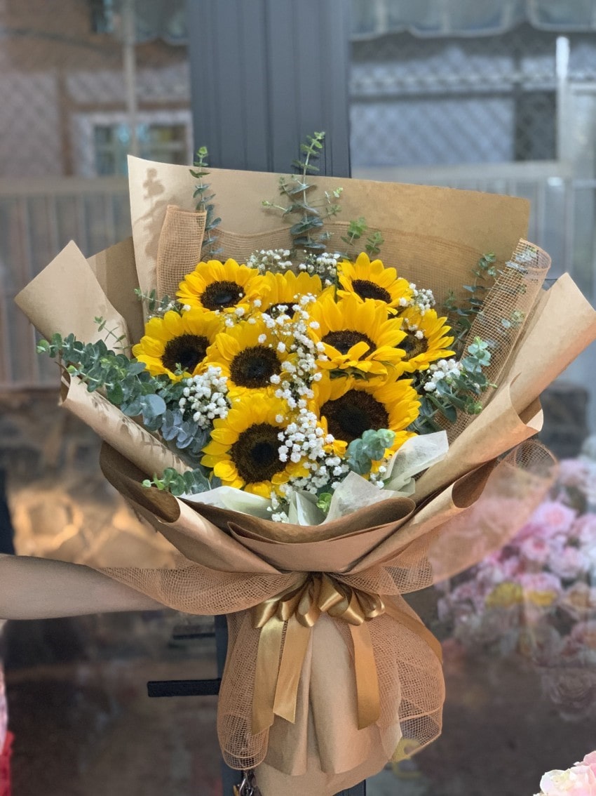 Bó hoa hướng dương 9 bông kết hợp cùng baby trắng