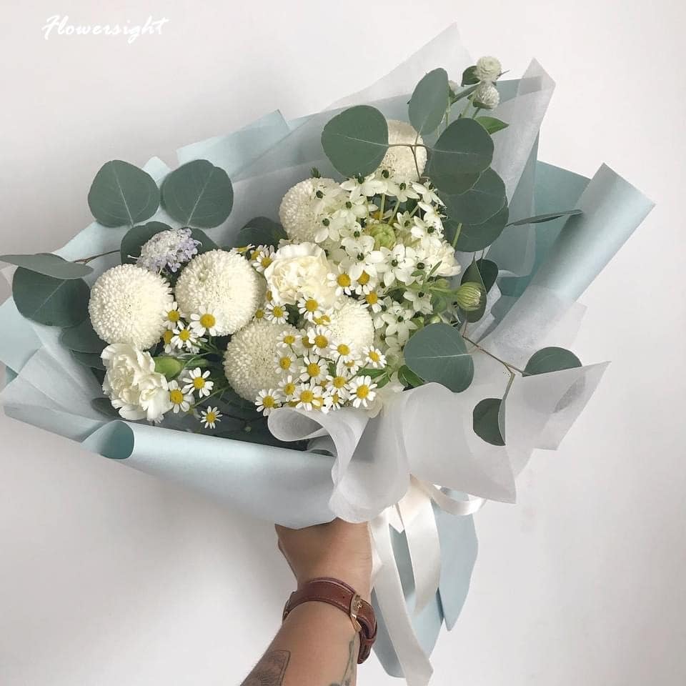 Cúc pingpong trắng - biểu tượng của tình bạn trong sáng và thuần khiết