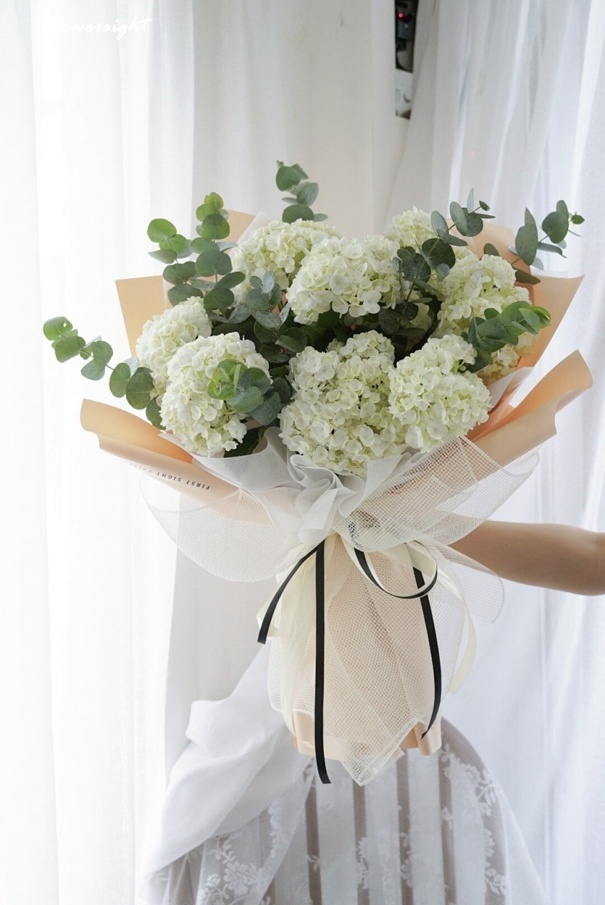 Bó hoa cẩm ú cầu trắng sữa