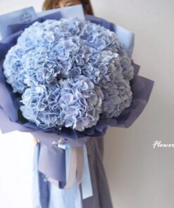 Bó hoa cẩm tú cầu xanh