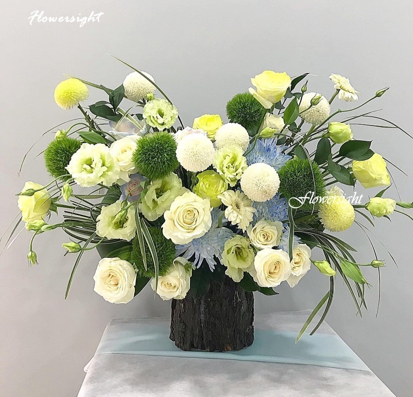 Co-rat-nhieu-loai-hoa-hong-trang-co-gia-tri-y-hoc-min