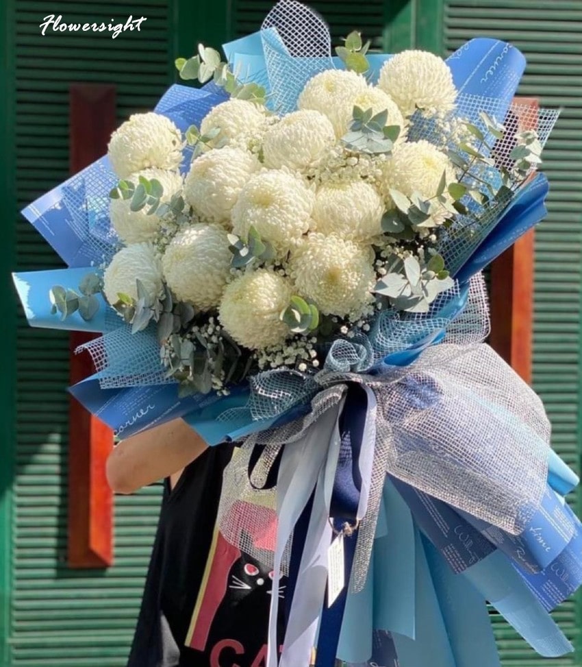 Cúc mẫu đơn màu trắng khoe sắc với các màu sắc khác